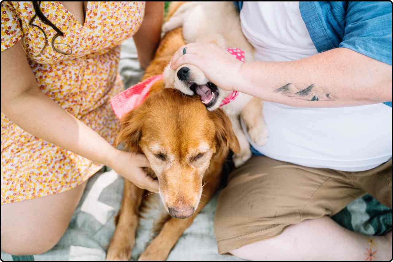 Two persons showing affection to their dogs in their arms.